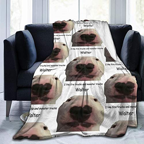 Eollxc Super-Soft Walter Clements Dog Comfortable Blankets for Four Seasons Lightweight Warm Blankets Suitable for Sofa Blankets for Adults and Children Bed Blankets 50 inch inch X40 Eollxc Super-Soft Walter Clements Dog Comfortable Blankets for Four Seasons Lightweight Warm Blankets Suitable for Sofa Blankets for Adults and Children Bed Blankets 50 inch inch X40