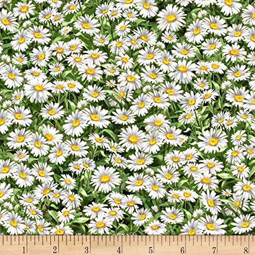 Timeless Treasures Peaceful Garden Packed Daisies Multi Fabric by The Yard