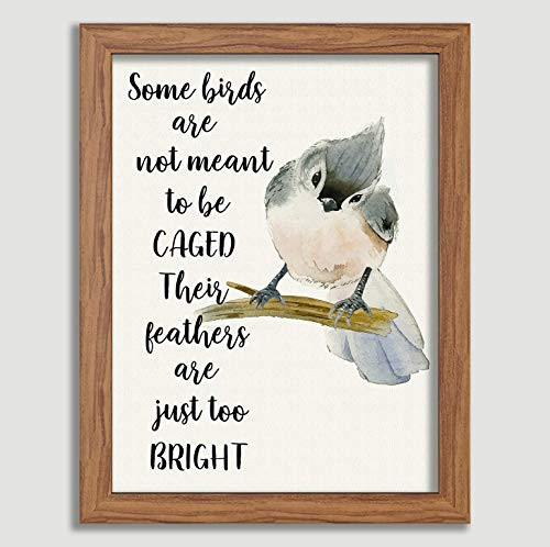 Tufted Titmouse Inspirational Quote Poster Art Print Some Birds Are Not Meant To Be Caged Their Feathers Are Just Too Bright Wall Decor Artworks Wall Art
