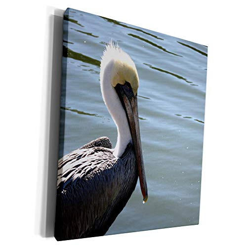 3dRose Susans Zoo Crew Animals Bird - pelican head left side against river - Museum Grade Canvas Wrap  cw_156170_1