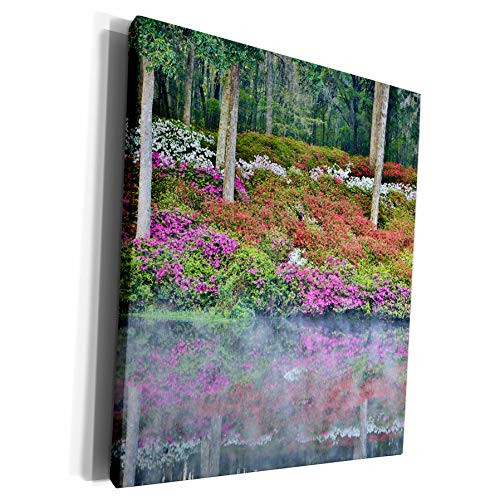3dRose Danita Delimont - Gardens - USA South Carolina Charleston. Azaleas reflecting in lake - Museum Grade Canvas Wrap cw_315011_1 3dRose Danita Delimont - Gardens - USA South Carolina Charleston. Azaleas reflecting in lake - Museum Grade Canvas Wrap cw_315011_1
