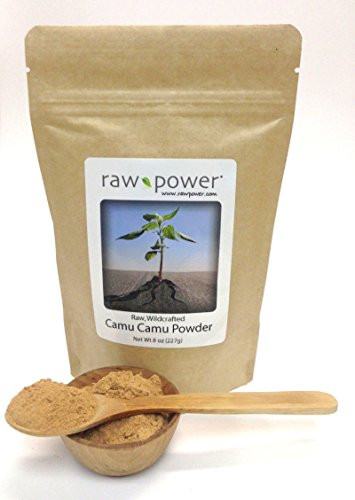 Camu Camu Berry Powder 8 oz  227g  raw wildcrafted 100 percent Pure Non-GMO Raw Power Organics