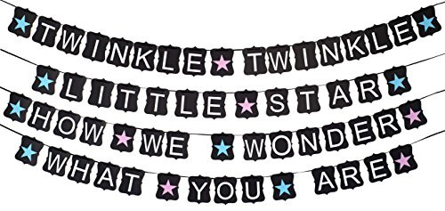 Gender Reveal Party Supplies-Twinkle Twinkle Little Star How We Wonder What You Are Banner-Baby Reveal Party Decorations