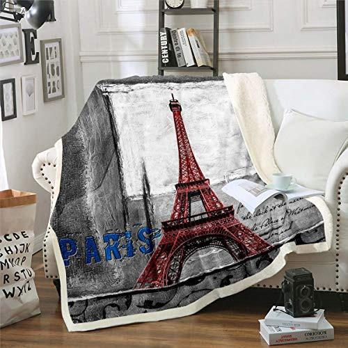 Eiffel Tower Plush Blanket Chic Paris Theme Fleece Throw Blanket for Couch Bed Sofa Paris Cityscape Print Sherpa Blanket Ultra Soft Decor Modern French Romantic Style Fuzzy Blanket Baby 30 inch x40 inch