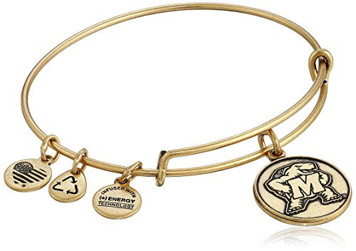 Alex and Ani University of Maryland Logo Expandable Rafaelian Gold Bangle Bracelet