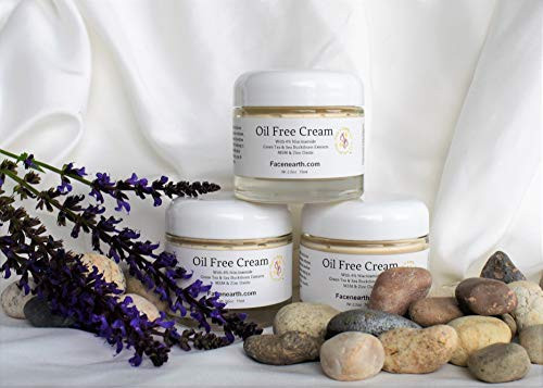 Oil-Free Cream Niacinamide Vitamin B3 73 percent Organic Vegan Acne Rosacea Oily Skins pH Balanced 2.5oz Oil-Free Cream Niacinamide Vitamin B3 73 percent Organic Vegan Acne Rosacea Oily Skins pH Balanced 2.5oz