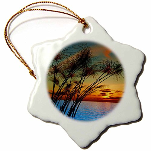 3dRose orn_48135_1 Sunset and Water Grass-Snowflake Ornament, Porcelain, 3-Inch