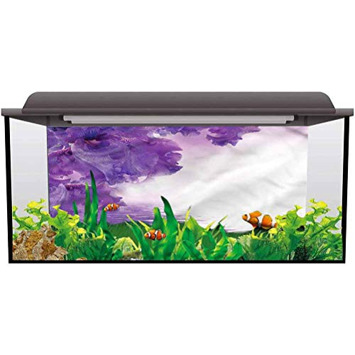 bybyhome Aquarium Background Picture FlowerMagical Iris Petals PVC Self-Adhesive Decor Wall L30 X H18 Inch bybyhome Aquarium Background Picture FlowerMagical Iris Petals PVC Self-Adhesive Decor Wall L30 X H18 Inch