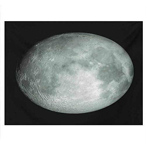 ScottDecor Galaxy Underwater World Backdrop Moon Graphic Image Trippy Rock Detailed Surface Planet Astronomy Outer Space Print Side Aquarium Poster Background Decoration Grey Black W30 x L18 Inch