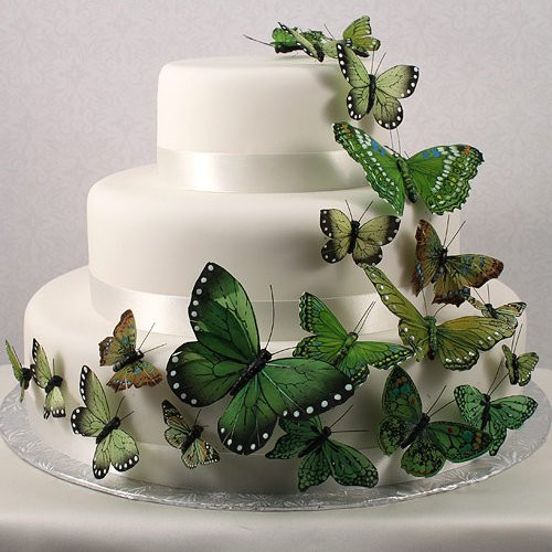 Beautiful Butterfly Cake Set in Garden Charm Green 24 Pieces Weddingstar