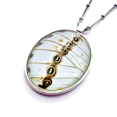 Real Butterfly Wing Necklace Silver butterfly necklace for women Real butterfly taxidermy jewelry Pressed flower necklace Luna Morpho