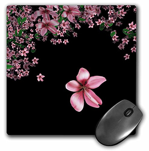 3dRose LLC 8 x 8 x 0.25 Inches Mouse Pad, Pink and White Cherry Blossoms on Black Background (mp_97837_1)