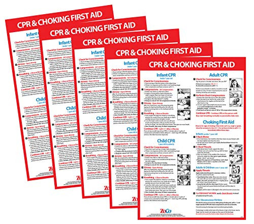 5 Poster Pack First Aid Choking Posters - Choking Posters Laminated ...