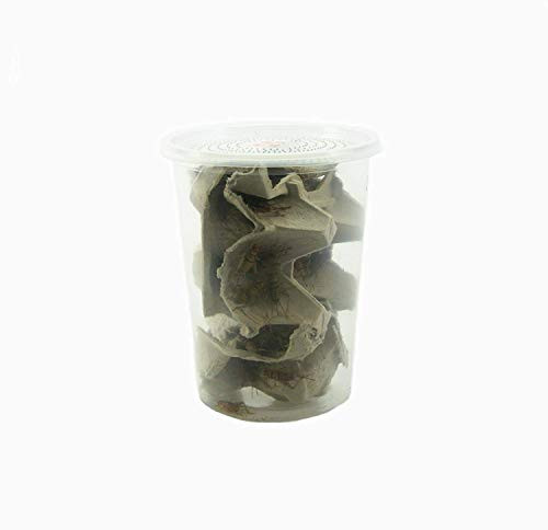 Joshs Frogs 3 4 inch  GUTLOADED Banded Crickets  60 Count