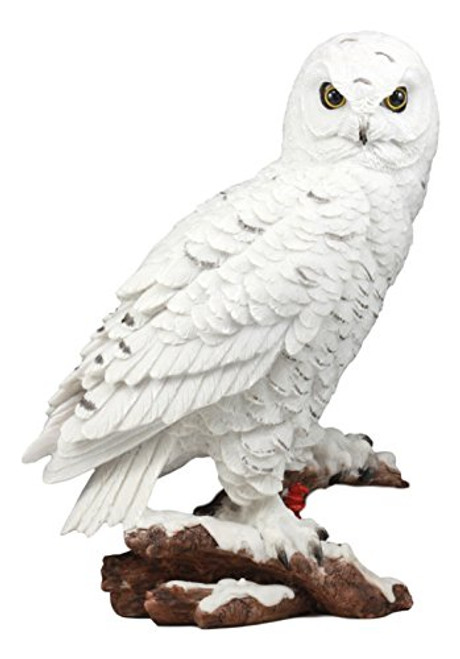 Ebros Mystical White Snow Owl Bird Statue 12.25 inch  Tall Nocturnal Bird Wildlife Owl Sculpture Figurine
