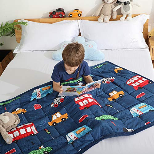Haowaner Minky Kids Weighted Blanket 10lbs 41 x 60 inches Soft Kids and Toddler Comforter Great for Calming and Sleeping Child Bed Size Car