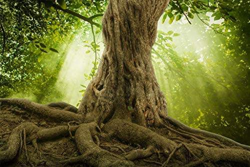 Puzzle 1500 Piece Wooden Puzzle Big Tree Roots Jigsaw Puzzles for Adults Kids Large Puzzle Game Toys Gift 87x57cm