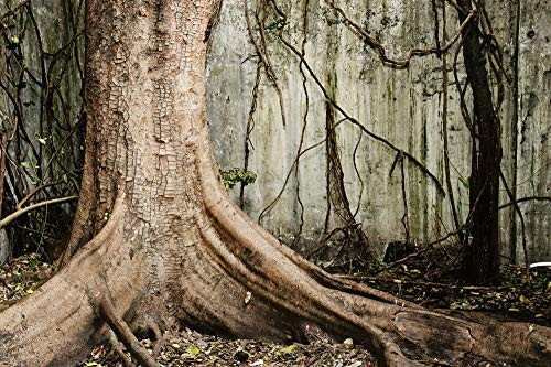 Puzzle 1500 Piece Wooden Puzzle Ancient Roots Very Challenging Adult and Teen Casual Jigsaw Puzzle 87x57cm Puzzle 1500 Piece Wooden Puzzle Ancient Roots Very Challenging Adult and Teen Casual Jigsaw Puzzle 87x57cm