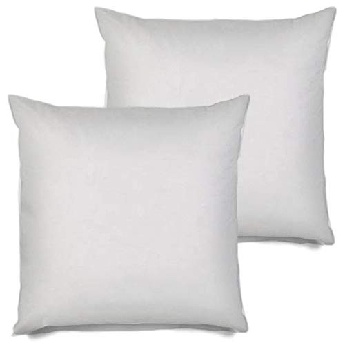 MSD 2 Pack Pillow Insert 30X30 Hypoallergenic Square Form Sham Stuffer Standard White Polyester Decorative Euro Throw Pillow Inserts for Sofa Bed - Made in USA  Set of 2  - Machine Washable and Dry
