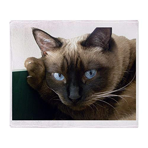 CafePress Throw Blanket Soft Fleece Throw Blanket 50 inch x60 inch  Stadium Blanket