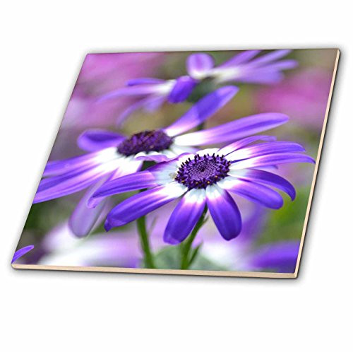 3dRose ct_47797_1 Purple and White Spring Flowers Floral Photography Ceramic Tile, 4-Inch