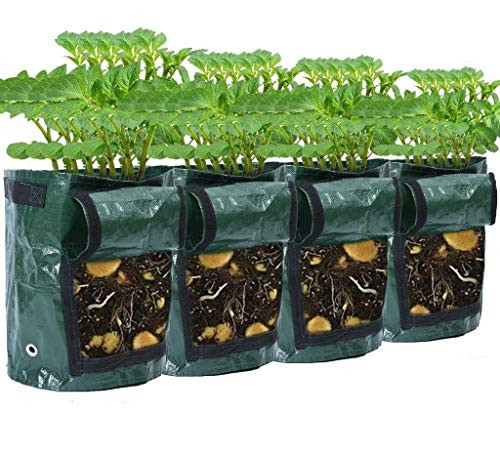SUSHAFEN 4Pcs Potato Grow Bags Planting Bag 7 Gallons Garden Plant Grow Bags Receptacle Pots with Handles for Garden Vegetable Carrot Potatoes Tomatoes Carrot Onion Growing Containers SUSHAFEN 4Pcs Potato Grow Bags Planting Bag 7 Gallons Garden Plant Grow Bags Receptacle Pots with Handles for Garden Vegetable Carrot Potatoes Tomatoes Carrot Onion Growing Containers