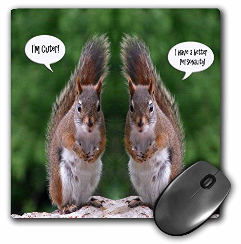 3dRose LLC 8 x 8 x 0.25 Inches Red Squirrel Humor Mouse Pad (mp_20799_1)