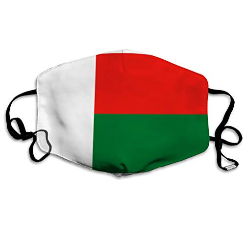 NYNELSONG Safety Cover Reusable Outdoor Covers Flag of Madagascar Polyester Covers NYNELSONG Safety Cover Reusable Outdoor Covers Flag of Madagascar Polyester Covers