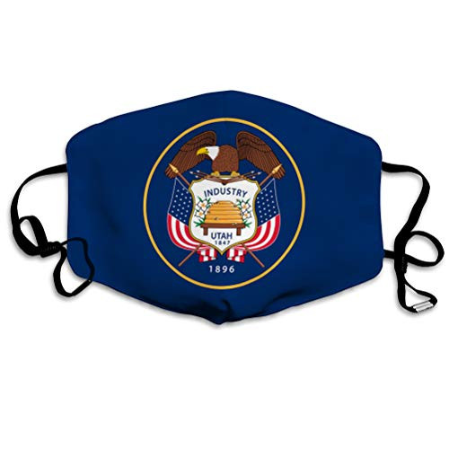 NYNELSONG Safety Cover Reusable Outdoor Covers USA State Flag Outdoor Cover NYNELSONG Safety Cover Reusable Outdoor Covers USA State Flag Outdoor Cover