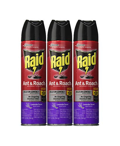 Raid Ant  and  Roach Killer Lavender Scent 12 OZ  Pack - 3