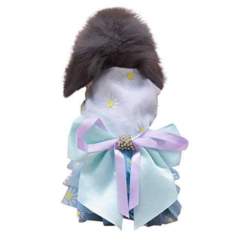 Pet Dress Howstar Cute Lace Bowknot Dress Small Dog Cat Princess Clothes Vest Puppy Party Tutu Dress Apparel Blue S Pet Dress Howstar Cute Lace Bowknot Dress Small Dog Cat Princess Clothes Vest Puppy Party Tutu Dress Apparel Blue S