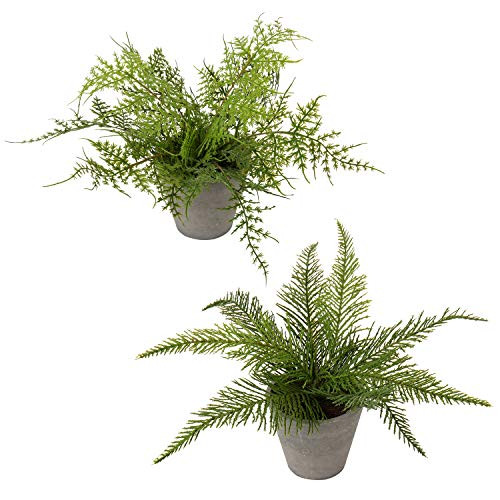 N D Artificial Plants Mini Artificial Potted Plants Faux Eucalyptus Plants Rosemary Greenery in Pots Small Houseplants for Indoor Greenery Home Office Desk Shower Room Decoration Green 02 N D Artificial Plants Mini Artificial Potted Plants Faux Eucalyptus Plants Rosemary Greenery in Pots Small Houseplants for Indoor Greenery Home Office Desk Shower Room Decoration Green 02