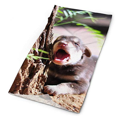 Roupaze Adult Neck Warmer Gaiters Bandana Puppy Yawning Under Tree in Garden Balaclava Nose Tube Scarf Cap Hairband
