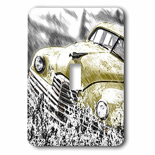 3dRose lsp_201096_1 An Old Timer Stand in the Meadow with A Drawing Effect Single Toggle Switch