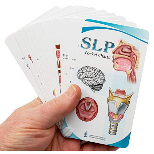 SLP Pocket Charts