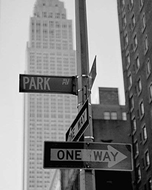 Black and White New York City Photography Print Park Avenue Street Sign and Empire State Building Picture NYC Architecture Art Office Wall Art Decor Black and White New York City Photography Print Park Avenue Street Sign and Empire State Building Picture NYC Architecture Art Office Wall Art Decor