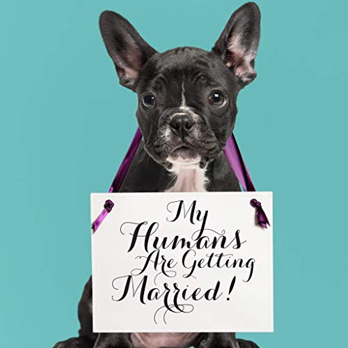 My Humans Are Getting Married Dog Sign for Wedding Engagement Announcement   He Asked She Said Yes Proposal Prop for Engagement Pictures   Puppy Banner 1064