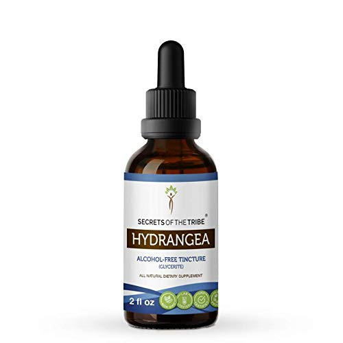 Hydrangea Tincture Alcohol-Free Extract Organic Hydrangea  Hydrangea arborescens  Dried Root Tincture Supplement  2 FL OZ
