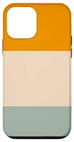 iPhone 12 mini Colorful Orange Beige Mint Color 70s Style Retro Stripes Case