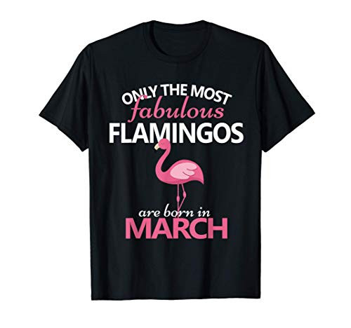 Flamingo March Birthday Aries Pisces Zodiac Gift Cute Funny T-Shirt