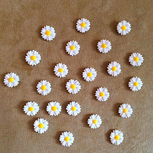24Pcs Decorative Push pins,Cork Board Tacks,Bulletin Board Tacks,Thumb Tack Decorative for CorkBoard, Office Organization or Home (White)