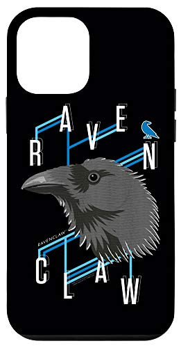 iPhone 12 mini Harry Potter Ravenclaw Lines Case