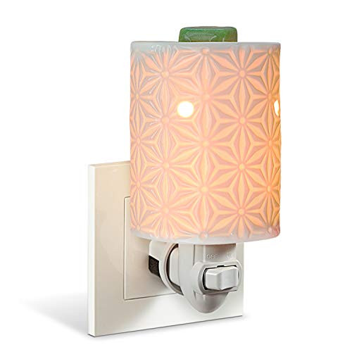 StarMoon Wax Warmer Plug in for Home Decor Pluggable Home Fragrance Diffuser No Flame with One More Bulb  Amaryllis in1