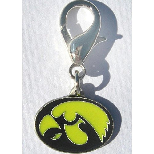 Pet Care Preferred Iowa Hawkeyes Collar Charm