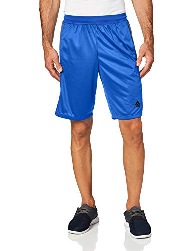 adidas Mens Designed-2-Move 3-Stripe Shorts Collegiate Royal Trace Grey Medium