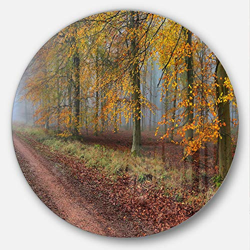 Designart Raising Sun in Fall Panorama-Forest Metal Artwork- Disc of 23 23'' H x 23'' W x 1'' D 1P Yellow Designart Raising Sun in Fall Panorama-Forest Metal Artwork- Disc of 23 23'' H x 23'' W x 1'' D 1P Yellow