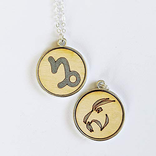 Capricorn Zodiac Necklace – Astrology 