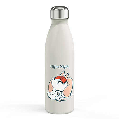 Zak Designs LINE FRIENDS CONY 17.5 oz Stainless Steel Vacuum Insulated Water Bottle with Leak-Proof Cap Keeps Drinks Cold