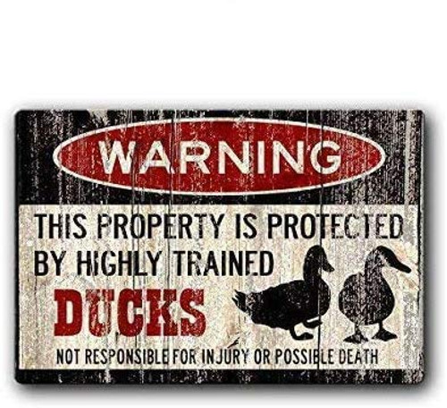 Tin speaking Fashionable Duck SignDuck EggsFunny Duck Sign Iron Painting 8X12 INCH Metal Tin Sign Tin speaking Fashionable Duck SignDuck EggsFunny Duck Sign Iron Painting 8X12 INCH Metal Tin Sign