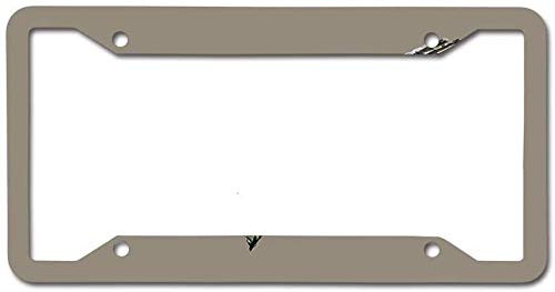 W tactics Aluminum License Plate Frame Black Licenses Plates Frames Car Licenses Plate Covers Holders for US Vehicles  Jenny Wren Garden Bird Art